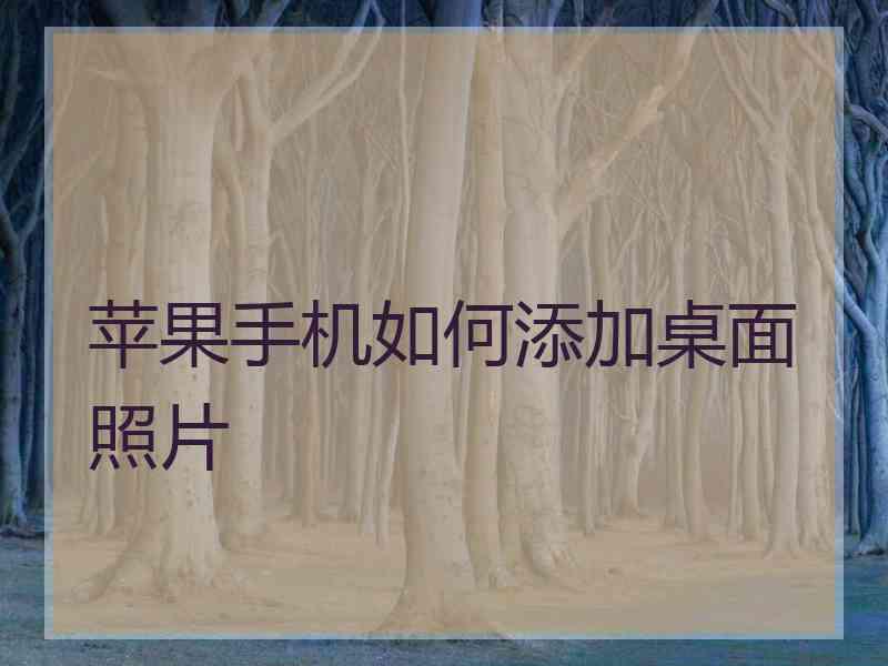 苹果手机如何添加桌面照片