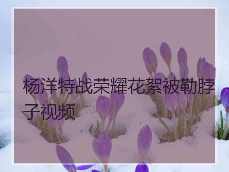 杨洋特战荣耀花絮被勒脖子视频