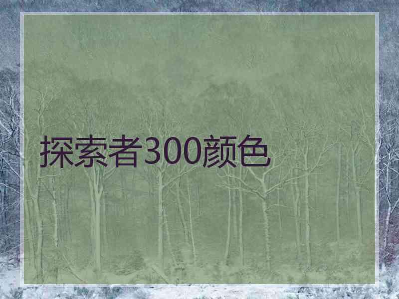 探索者300颜色