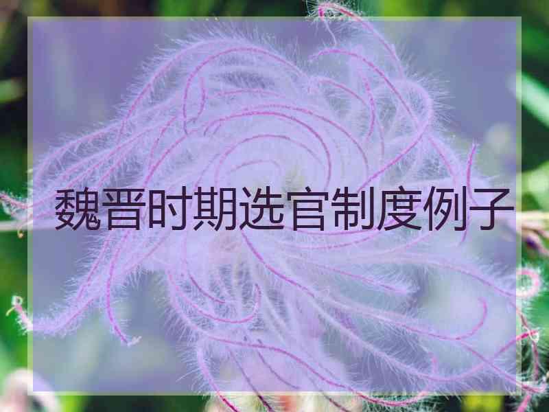 魏晋时期选官制度例子