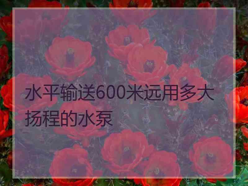 水平输送600米远用多大扬程的水泵