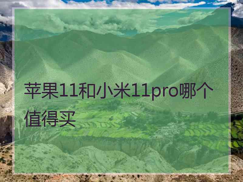 苹果11和小米11pro哪个值得买