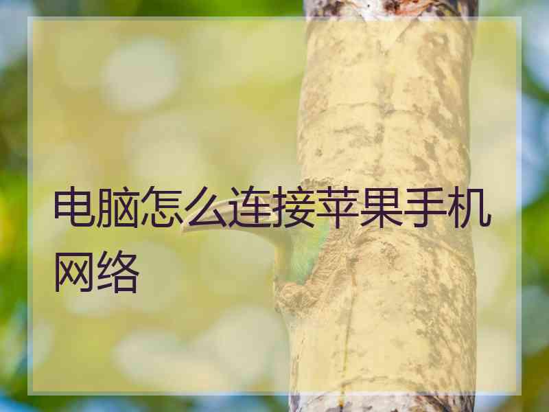 电脑怎么连接苹果手机网络