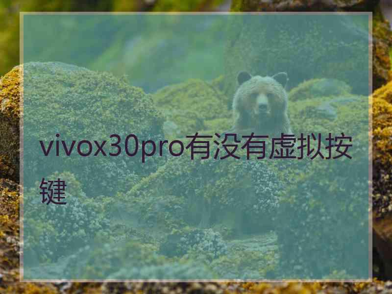 vivox30pro有没有虚拟按键