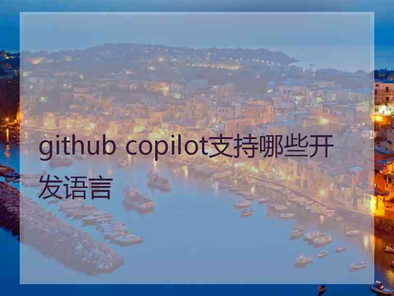 github copilot支持哪些开发语言