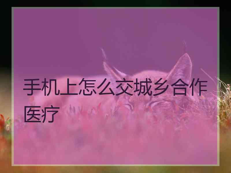 手机上怎么交城乡合作医疗