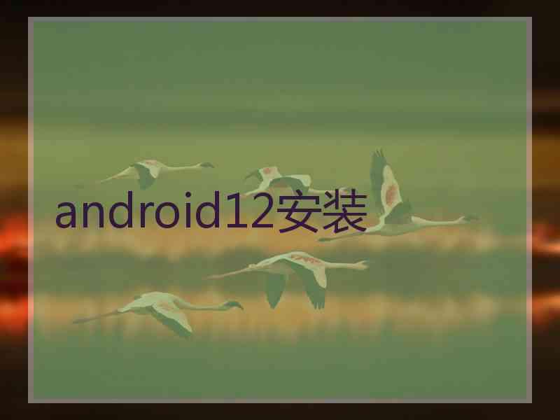 android12安装