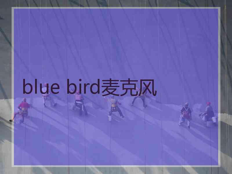 blue bird麦克风