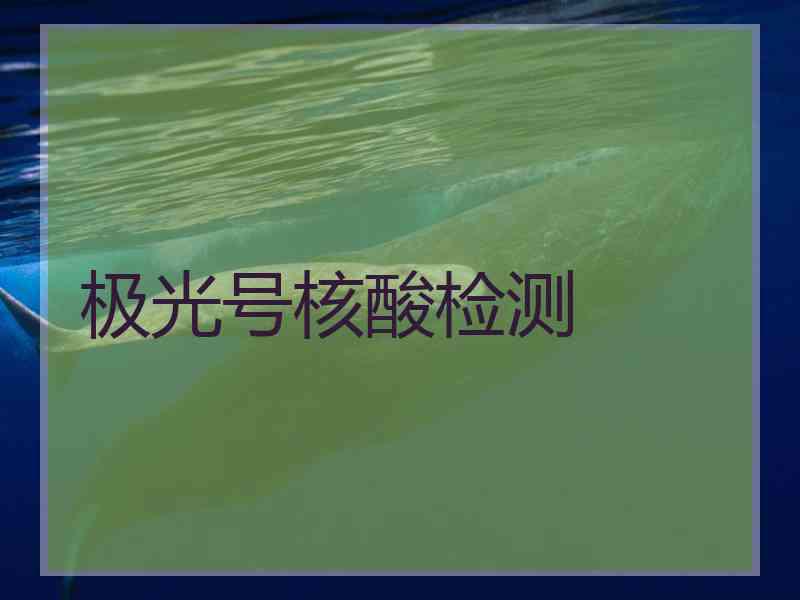 极光号核酸检测