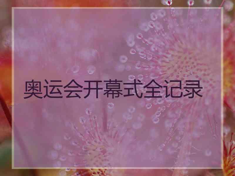 奥运会开幕式全记录