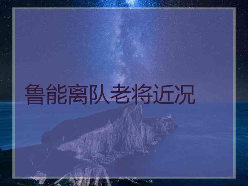 鲁能离队老将近况