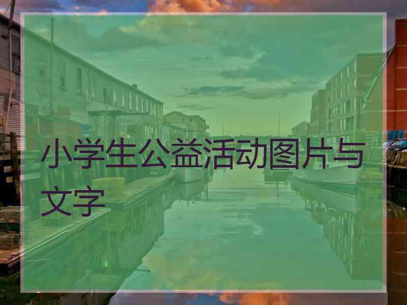 小学生公益活动图片与文字