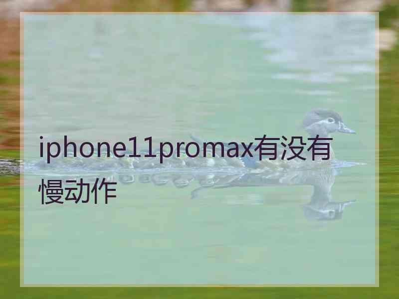 iphone11promax有没有慢动作