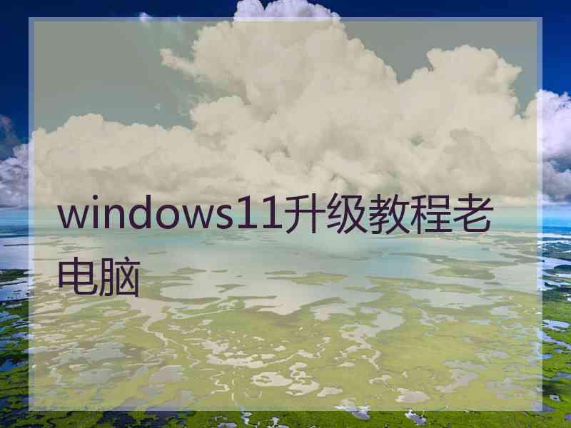 windows11升级教程老电脑