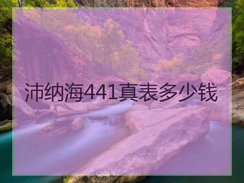 沛纳海441真表多少钱