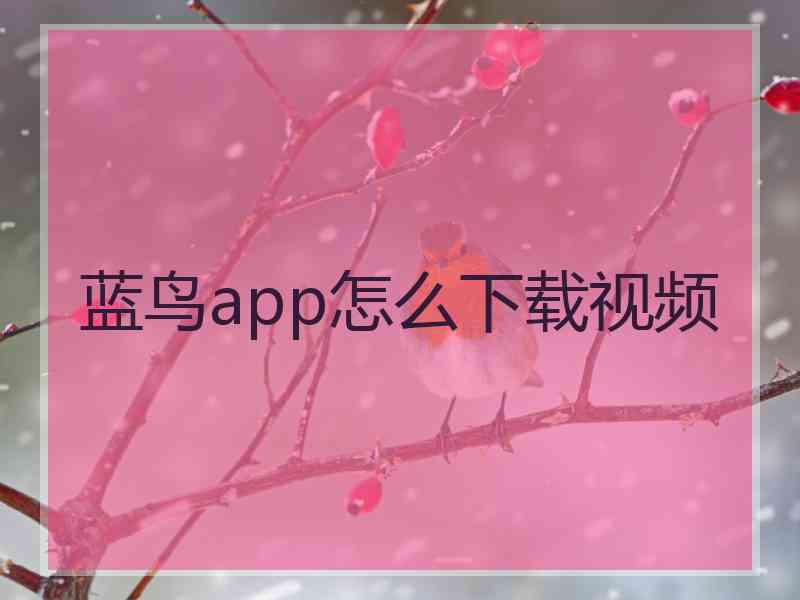 蓝鸟app怎么下载视频