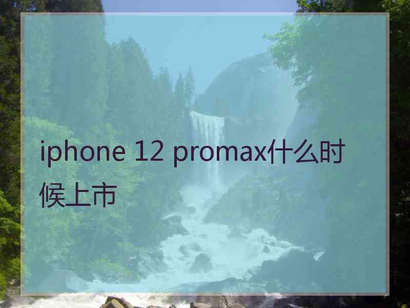 iphone 12 promax什么时候上市