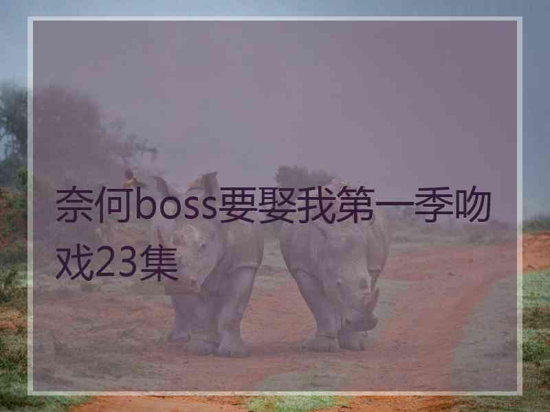 奈何boss要娶我第一季吻戏23集