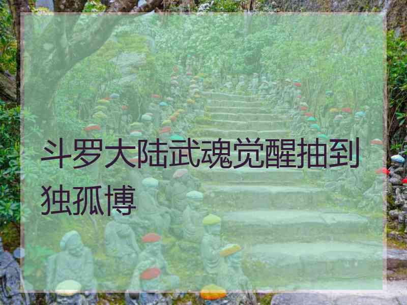 斗罗大陆武魂觉醒抽到独孤博