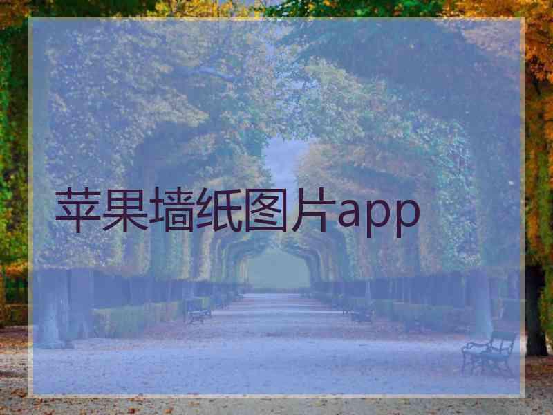 苹果墙纸图片app