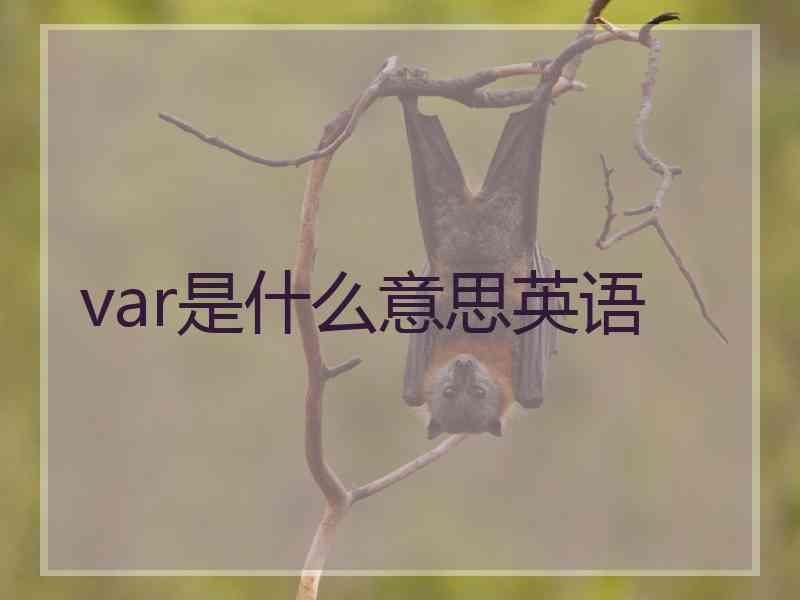 var是什么意思英语