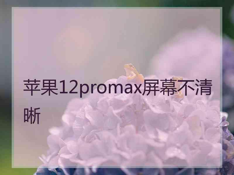 苹果12promax屏幕不清晰