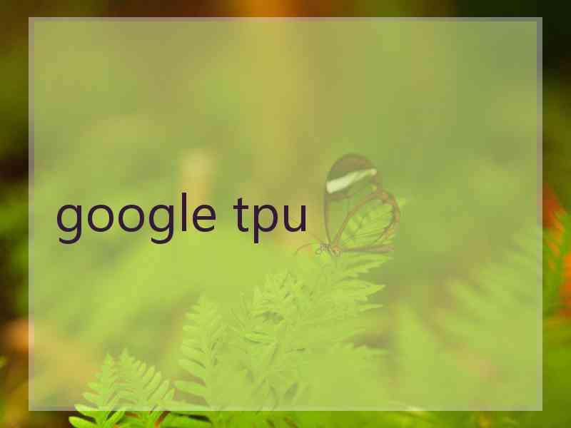 google tpu