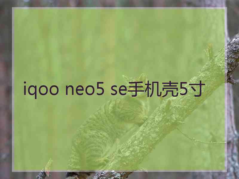 iqoo neo5 se手机壳5寸