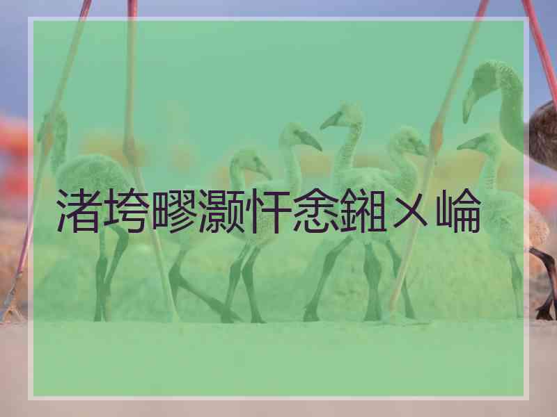 渚垮疁灏忓悆鎺ㄨ崘