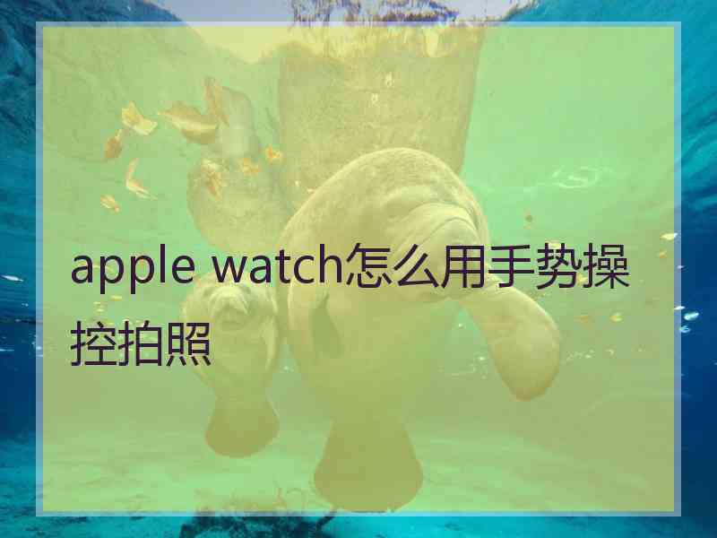 apple watch怎么用手势操控拍照