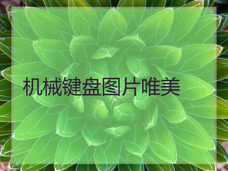 机械键盘图片唯美