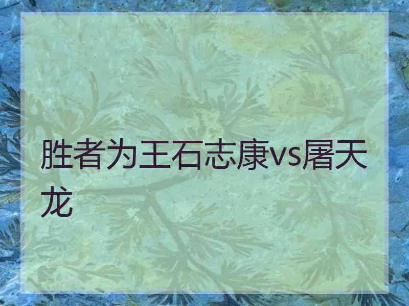 胜者为王石志康vs屠天龙