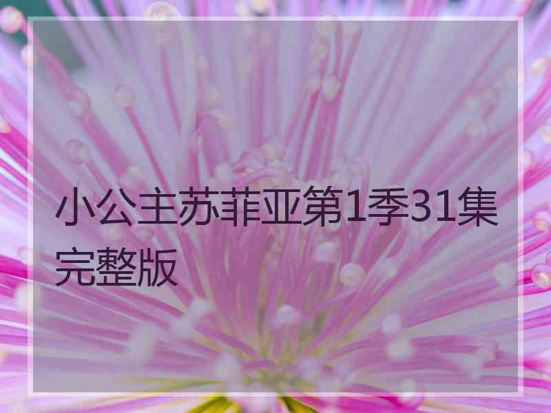 小公主苏菲亚第1季31集完整版