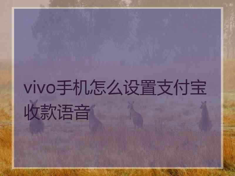 vivo手机怎么设置支付宝收款语音