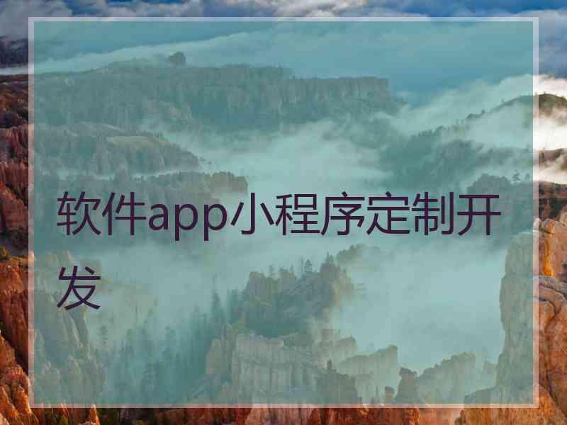 软件app小程序定制开发