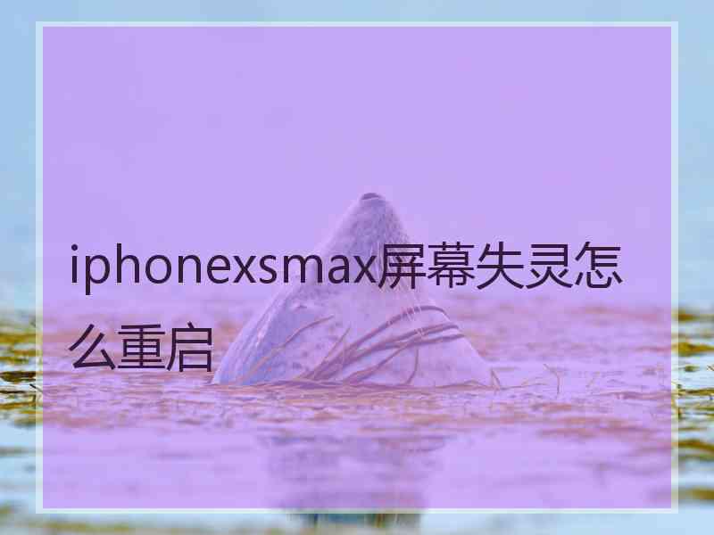 iphonexsmax屏幕失灵怎么重启