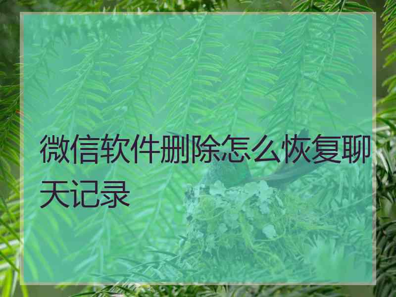 微信软件删除怎么恢复聊天记录