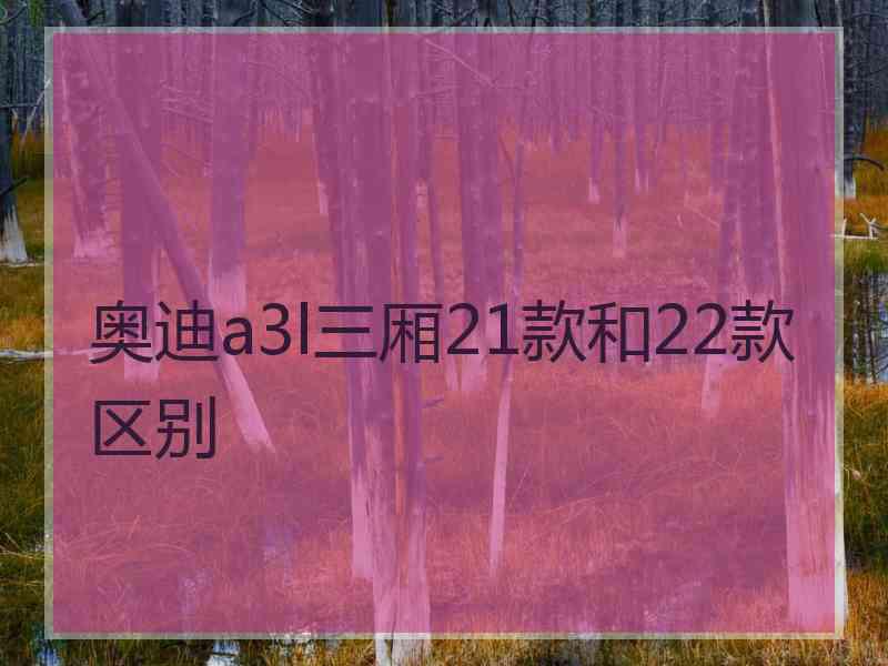 奥迪a3l三厢21款和22款区别