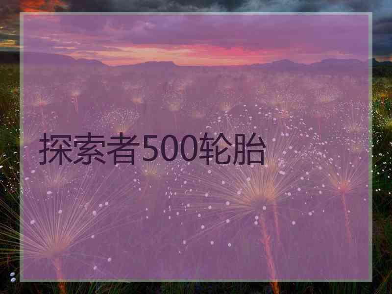 探索者500轮胎