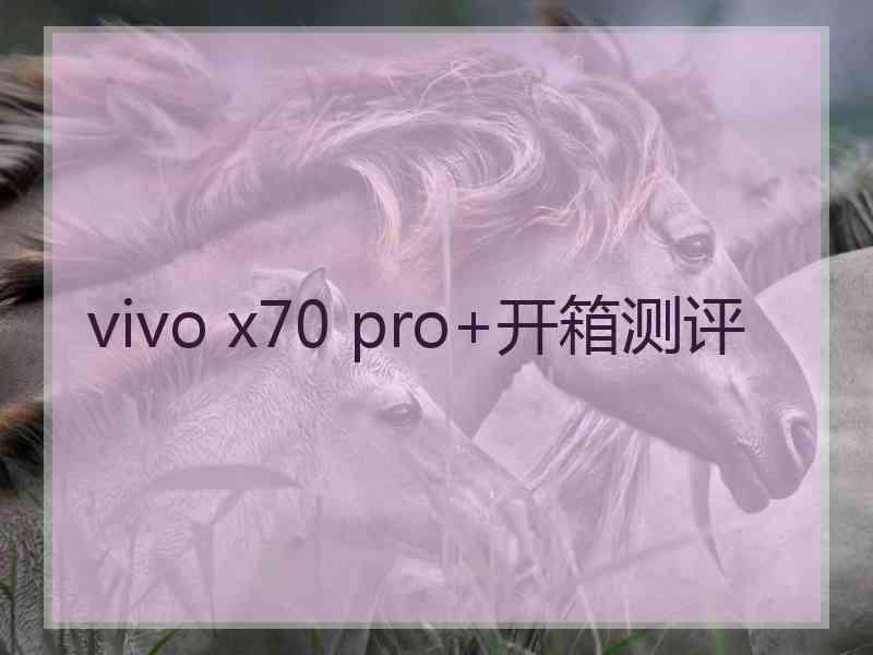 vivo x70 pro+开箱测评