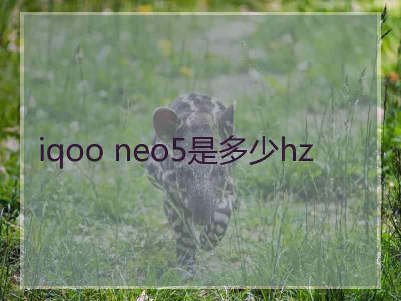 iqoo neo5是多少hz