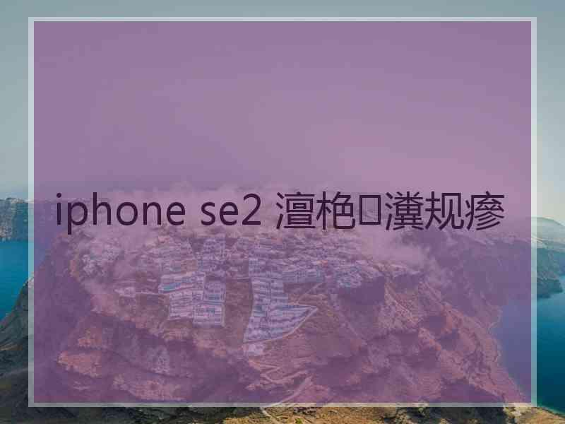 iphone se2 澶栬瀵规瘮