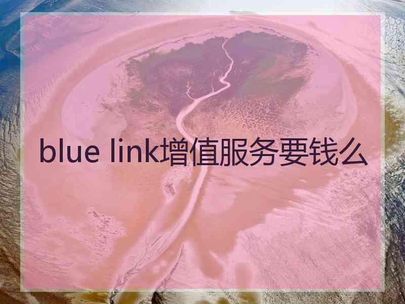 blue link增值服务要钱么