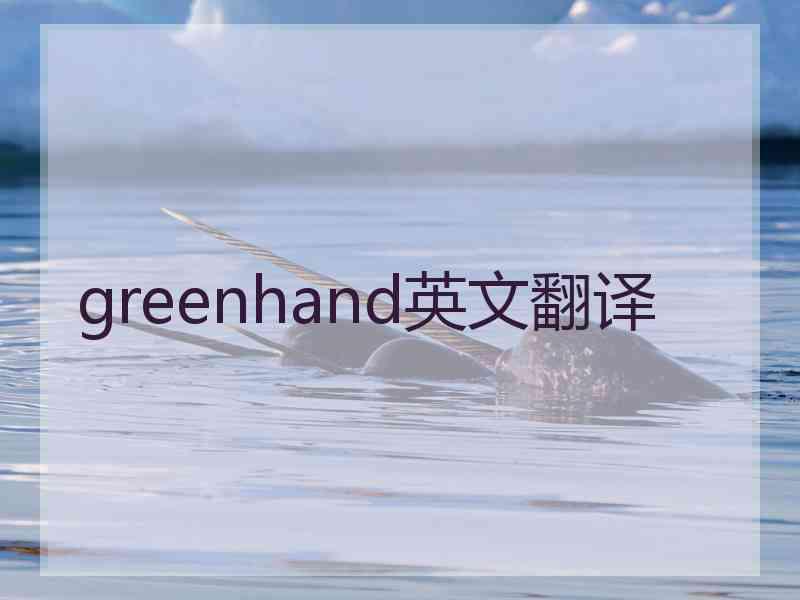 greenhand英文翻译