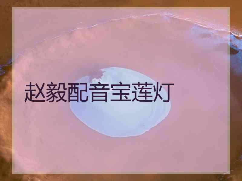 赵毅配音宝莲灯