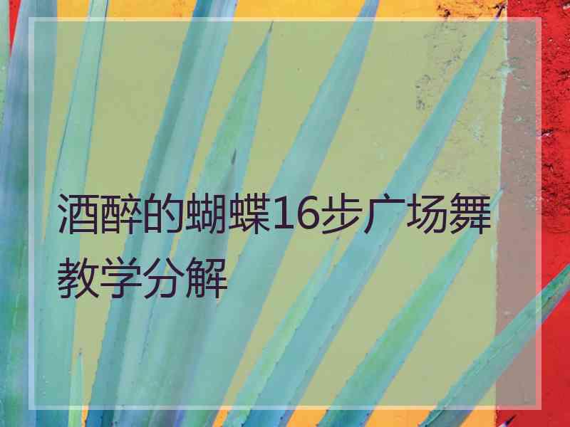 酒醉的蝴蝶16步广场舞教学分解