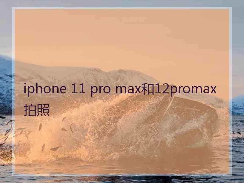 iphone 11 pro max和12promax拍照