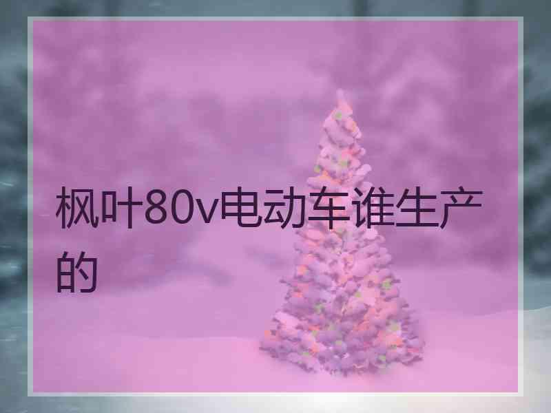 枫叶80v电动车谁生产的