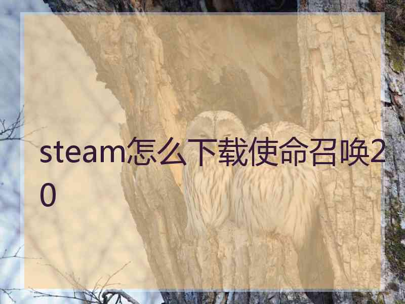 steam怎么下载使命召唤20