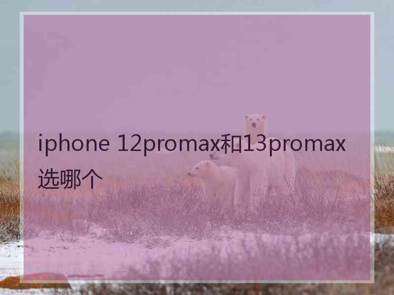 iphone 12promax和13promax选哪个